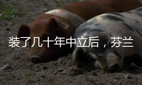 后芬资本市场普遍认为