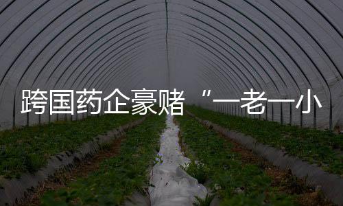 药企非“明星7号馆”莫属