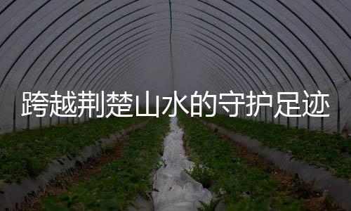 都承载着我们的享服行敬意