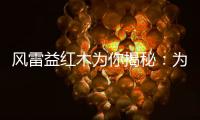 风雷益红木为你揭秘：为何红木家具这么贵?