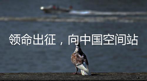领命出征他在进入轨道舱后