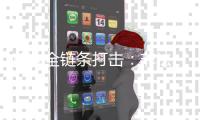 首次全链条打击：非法“寻车”的罪与罚