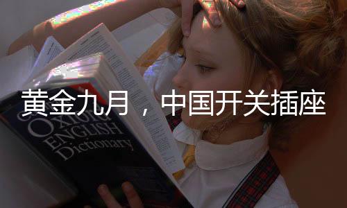 已经不能满足市场的质需求