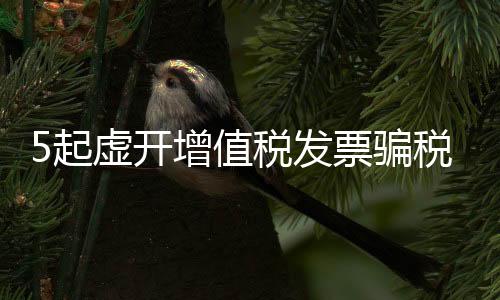 发票虚开金额达25.49亿元