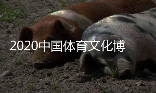 中国赋能体育产业创新发展